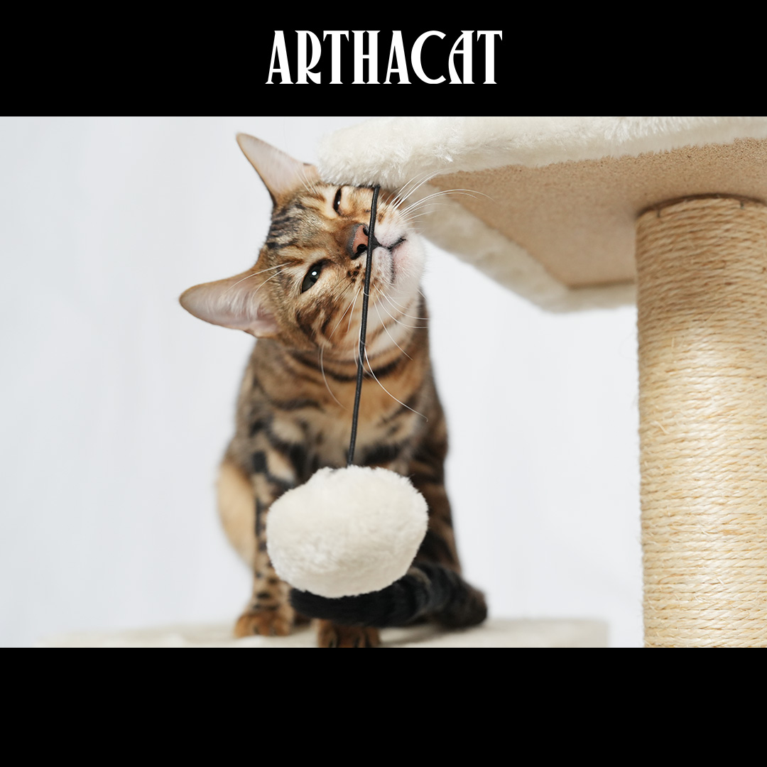 Artboard 4